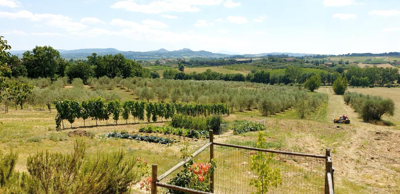 Villa Casina Di Pacina Abbadia di Montepulciano Exterior foto